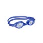 Raptor Goggle Clear Lens / Blue Frame