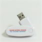 Teaching National Lifeguard USB Flash Drive